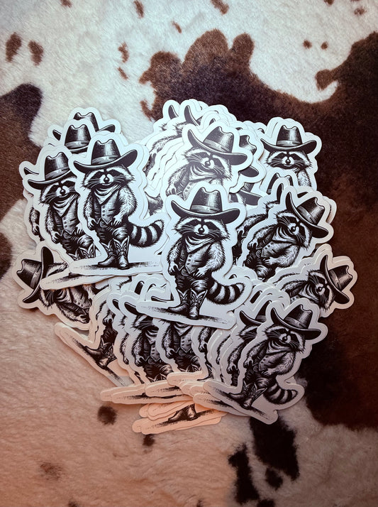 Cowboy Racoon