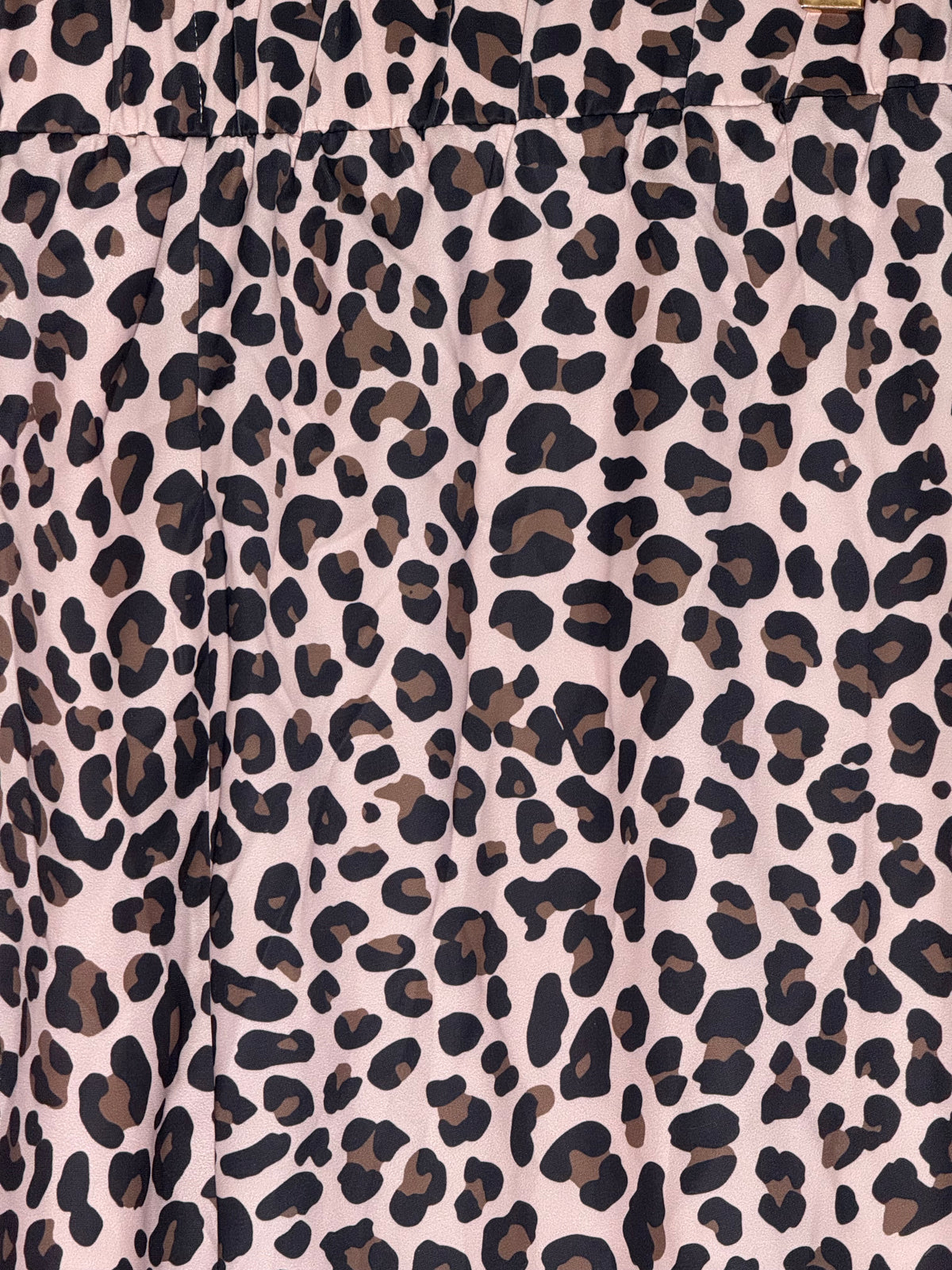 Wild Side Two-Stripe Leopard Pants