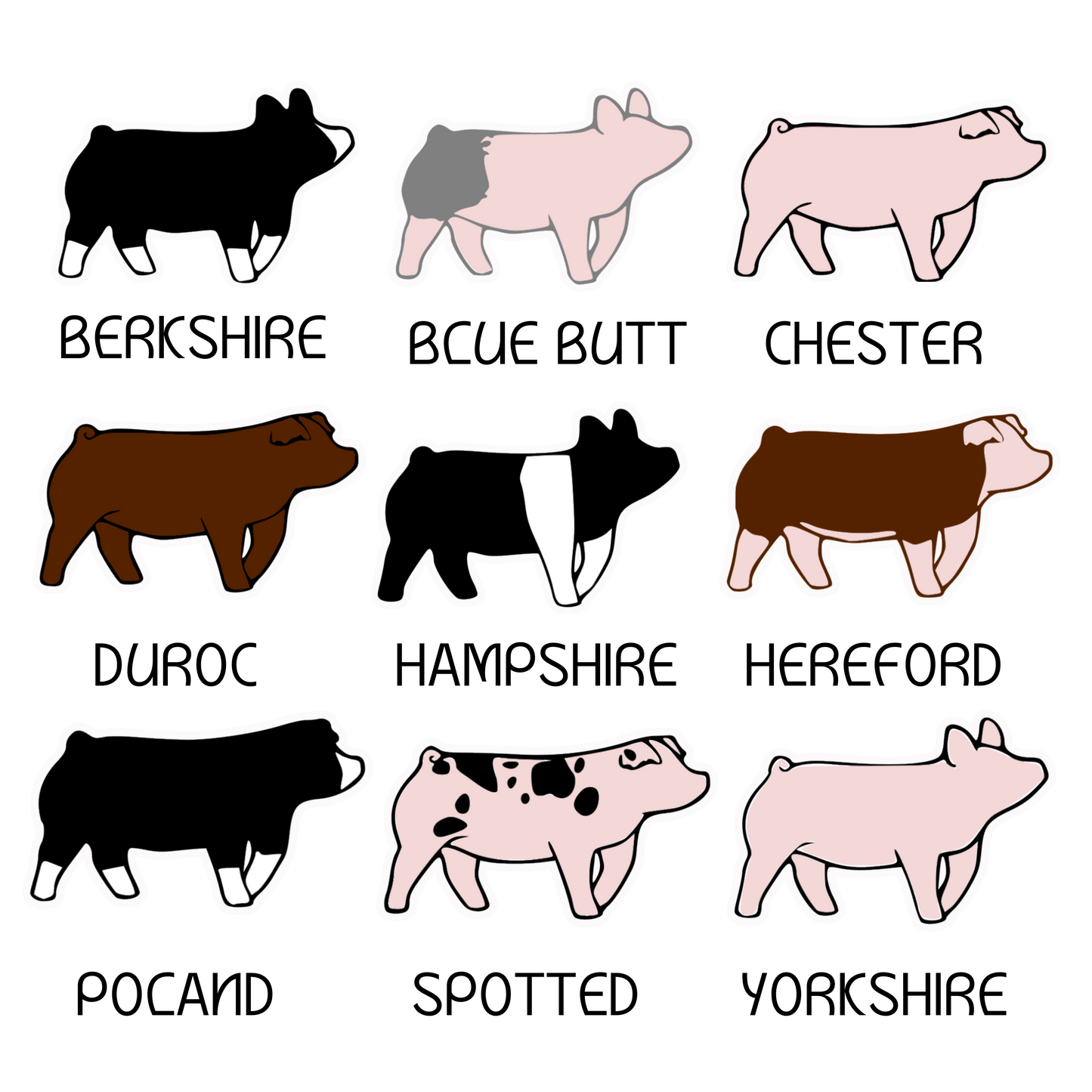 Swine Breeds