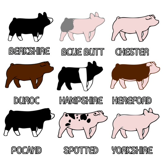 Swine Breeds