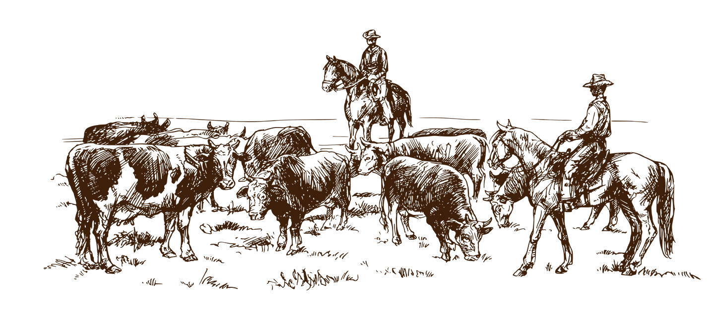 Cattle Round Up