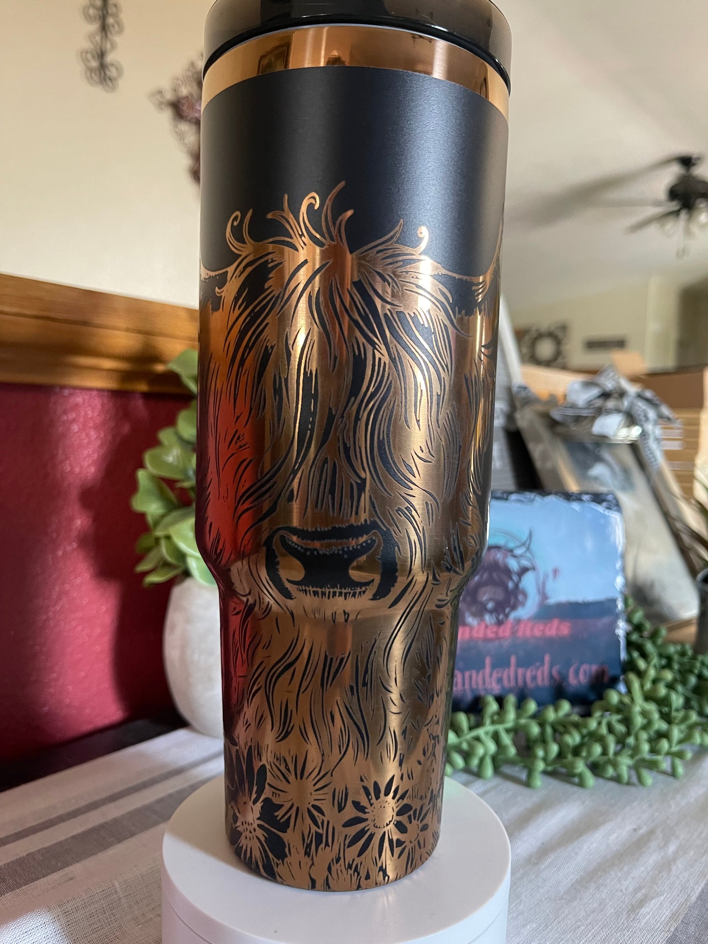 Highland Cow