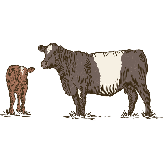 Cow Calf Pair Muscle Tank