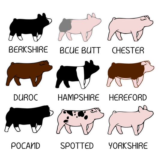 Swine Breeds