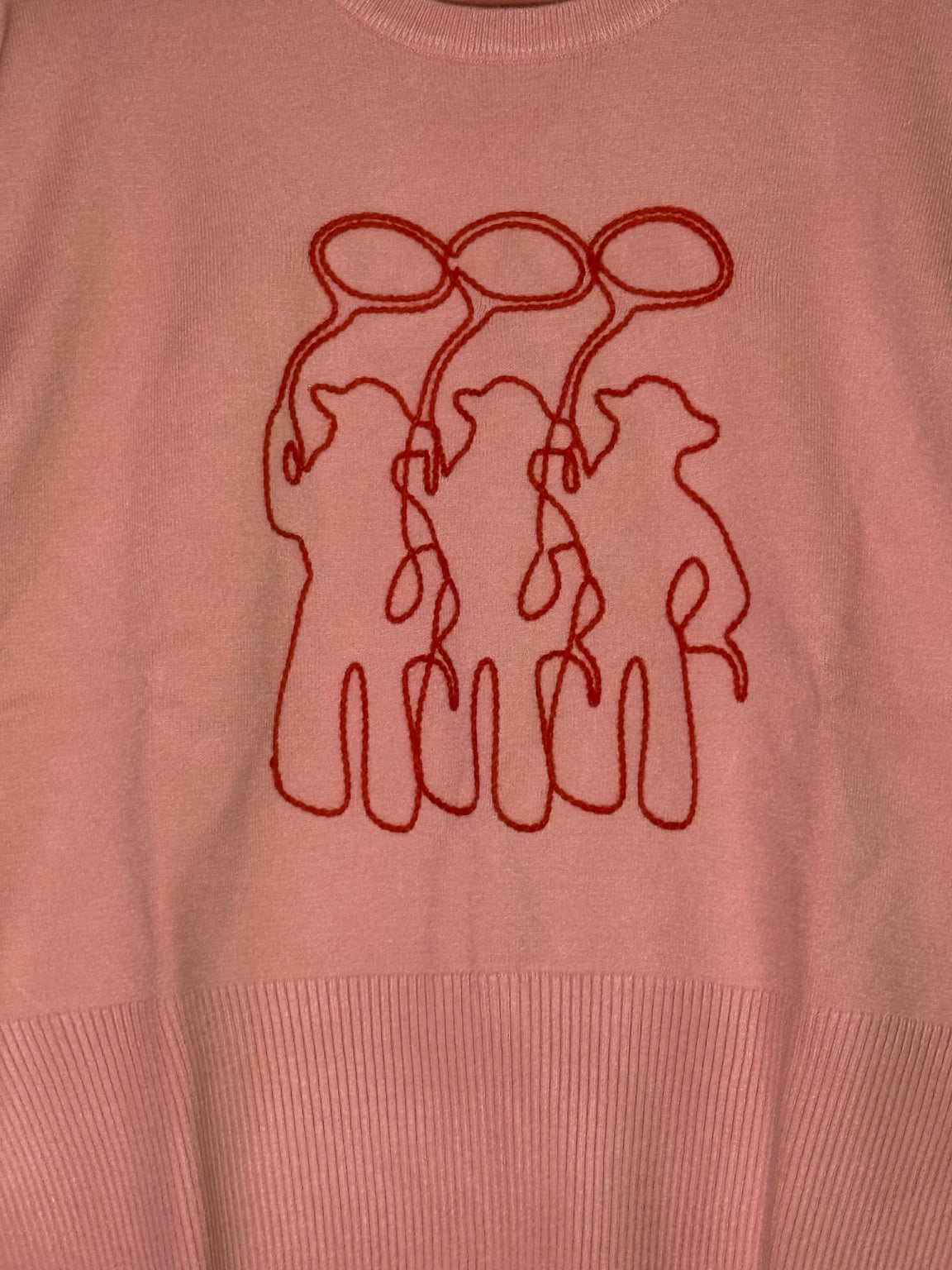 Three Amigos Pink Sweater