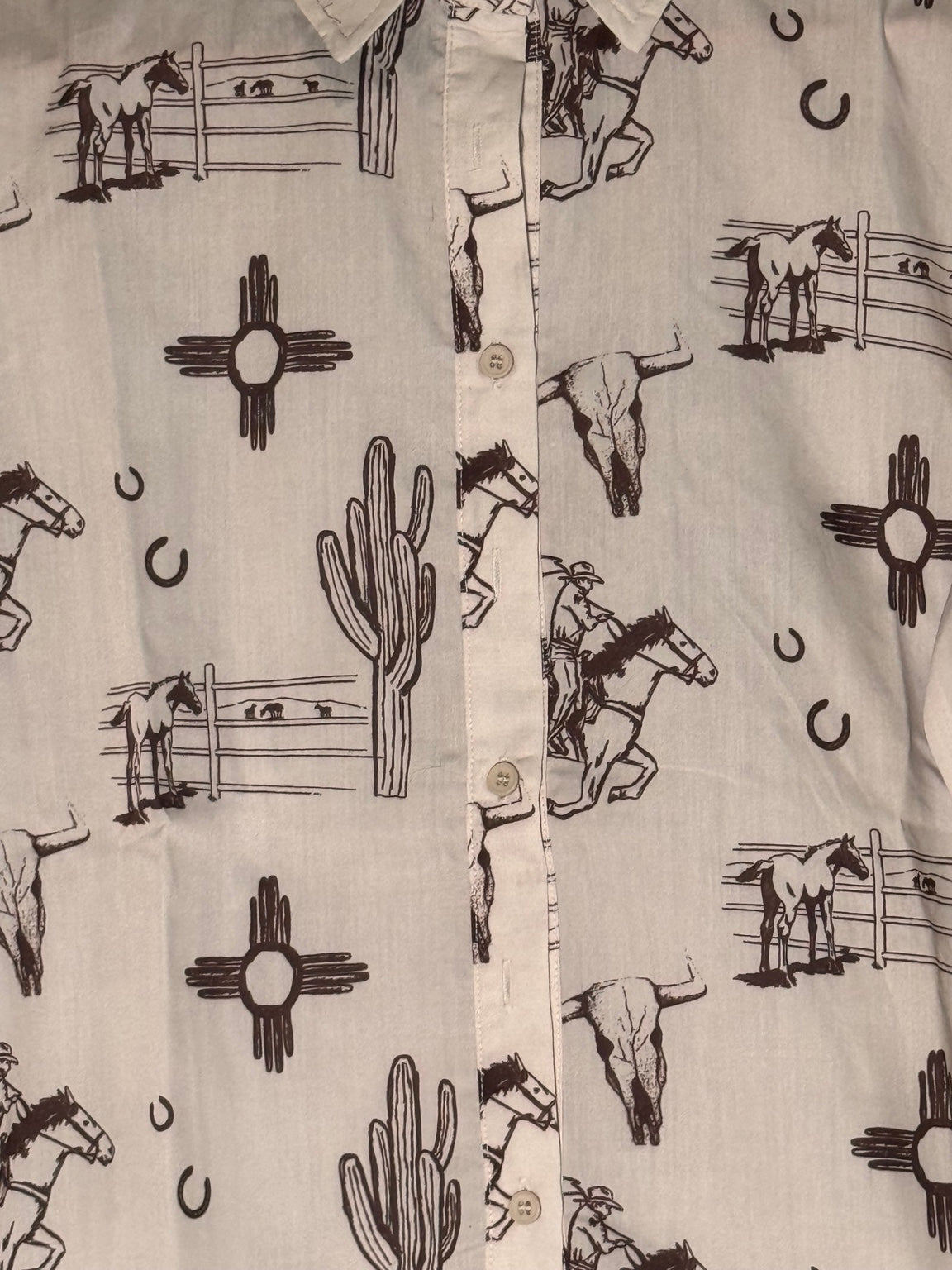 Dust & Daydreams Vintage Western Button-Up
